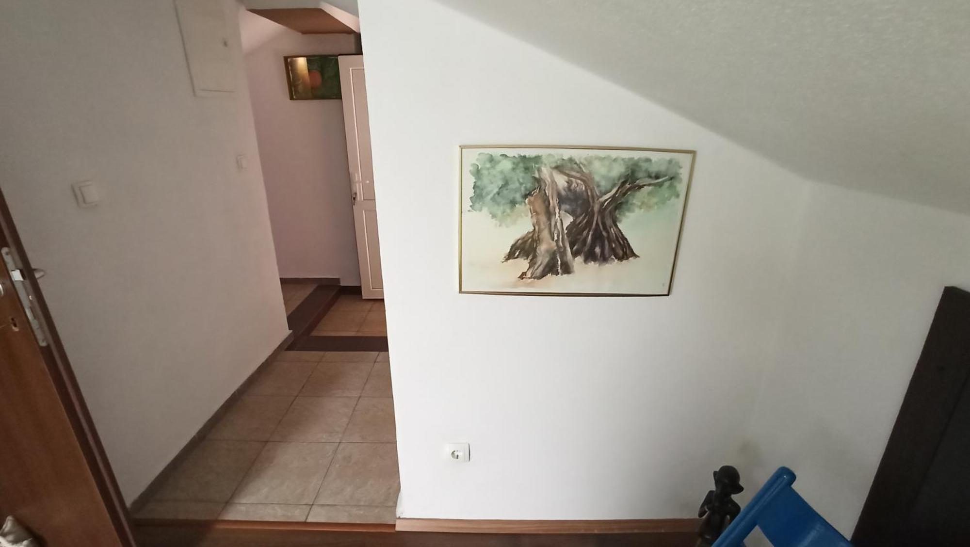 Apartment Solta